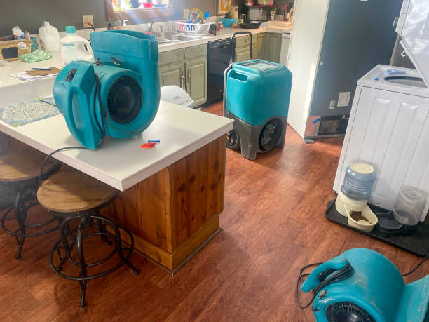 Best Professional water damage repair  in New Berlinville, PA