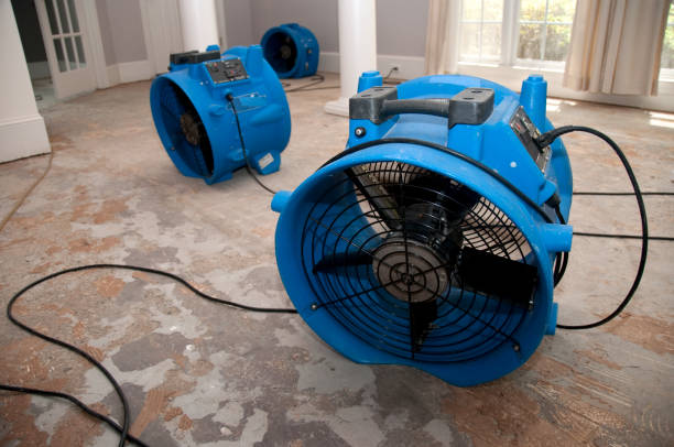 Best Water damage contractors near me  in New Berlinville, PA