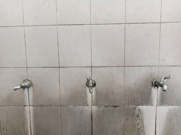Best Basement water damage restoration  in New Berlinville, PA