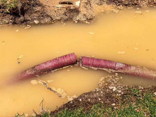 Best Mold removal after water damage  in New Berlinville, PA